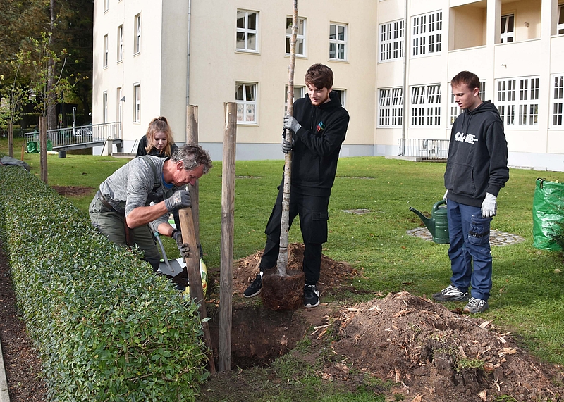 Junge Menschen und ein Gärtner stehen um ein Loch im Rasen mit einem Baumsetzling. Die Anpflanzung dient dem Umweltschutz an der Unimedizin Rostock.
