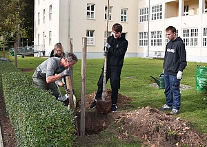 junge Menschen pflanzen einen Baum auf einer Grünfläche