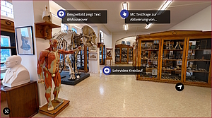 Virtueller Besuch in der anatomischen Sammlung