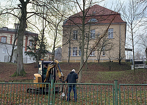 Mann im Bagger und ein Mann mit Jungbaum in der Hand