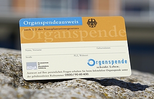 Organspendeausweis auf Stein