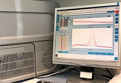 Auf dem Bildschirm ist eine Schmelzpunktanalyse zu sehen, mit der die Virusvarianten erkannt werden.