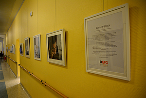 DGFG Ausstellung