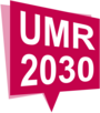 UMR 2030 Strategie Grafik