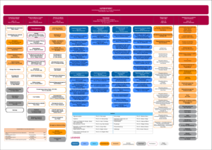Ein grafisch dargestelltes Organigramm
