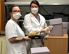 Die Sammlungsbeauftragte Laura Hiepe und Forscherin Dr. Anna-Maria Begerock verpacken Schädel im Depot des Instituts für Anatomie.