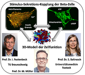 Grafik zum ausgezeichneten Forschungsprojekt