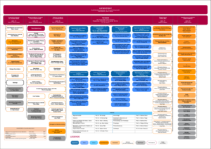 ein grafisch dargestelltes Organigramm