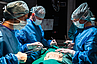 ICARos Anatomie Chirurgie lernen Rostock
