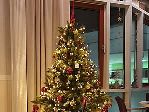 Tannenbaum in der Strahlenklinik